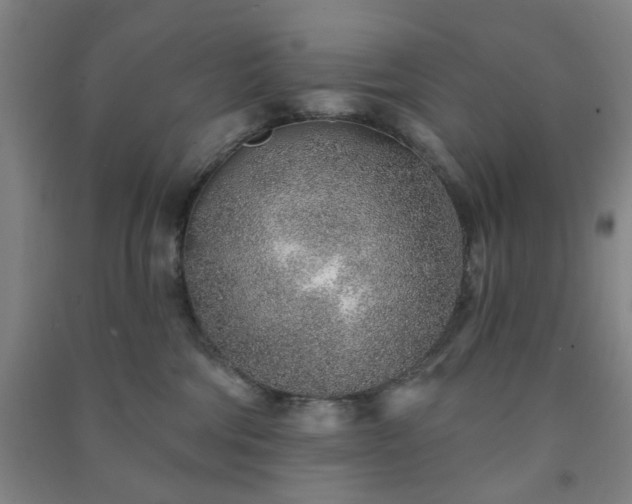 X0000091230330200708161721