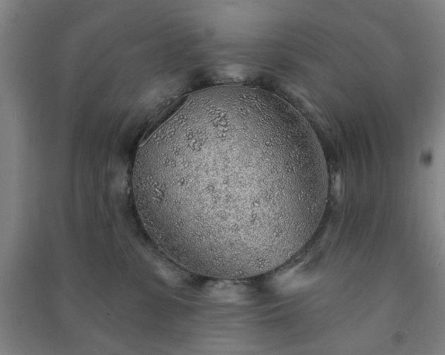 X0000091230331200708161721