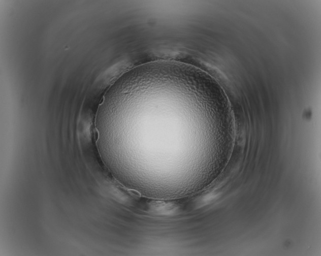 X0000091230334200708161721