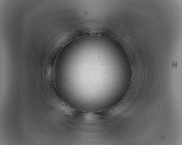 X0000091230336200708161721