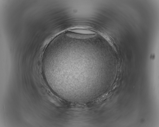 X0000091230337200708161721
