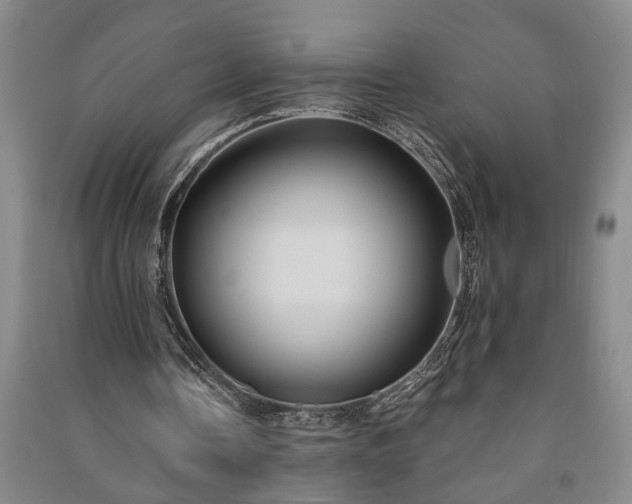 X0000091230338200708161721