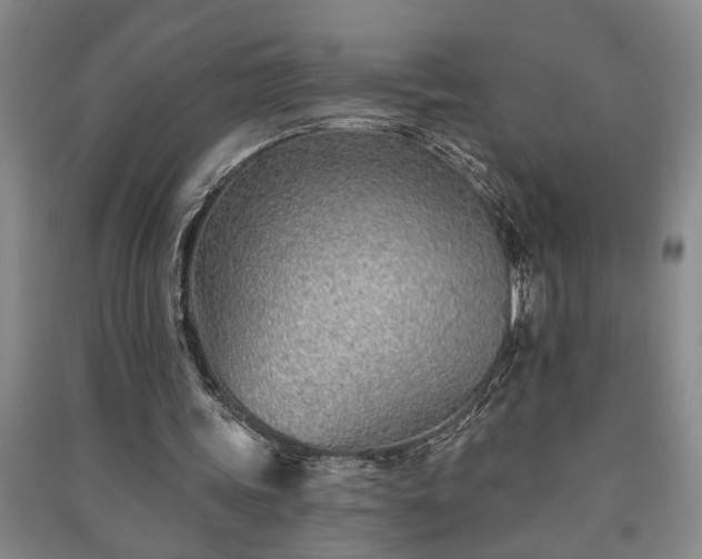 X0000091230339200708161721