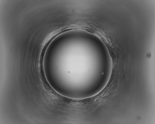 X0000091230340200708161721