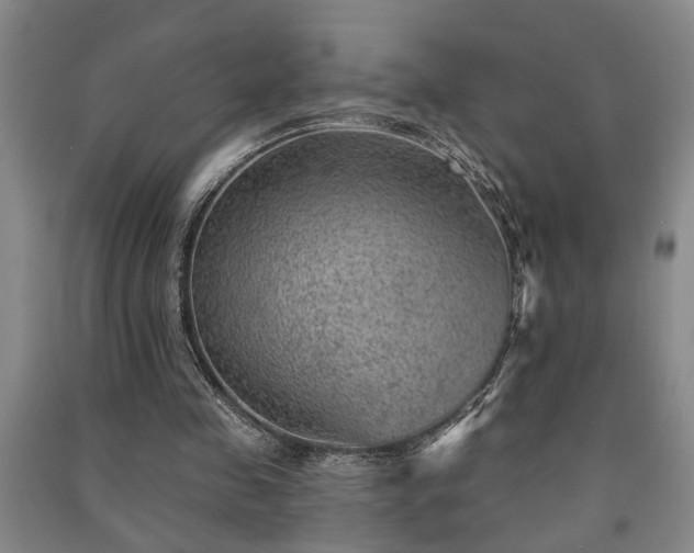 X0000091230341200708161721