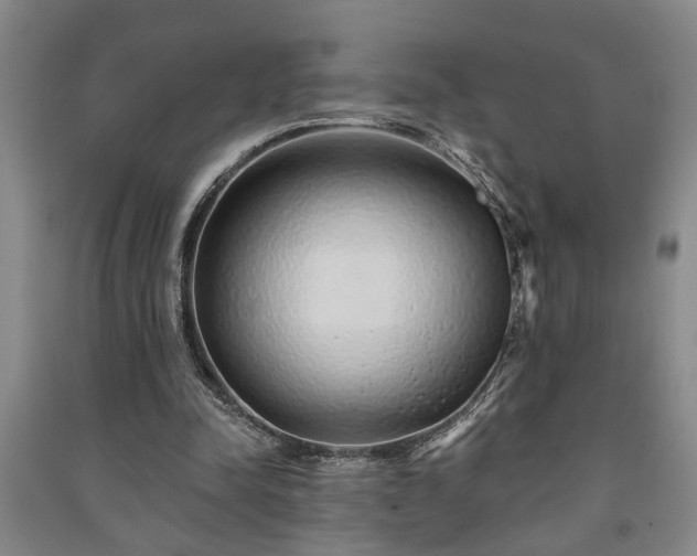 X0000091230342200708161721
