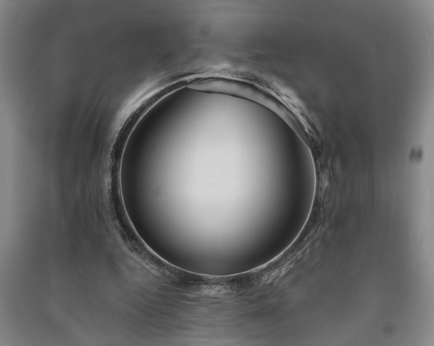 X0000091230344200708161721