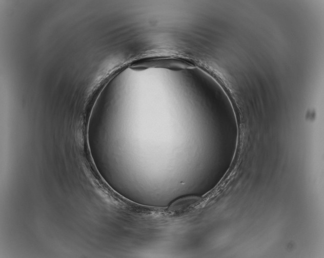 X0000091230345200708161721