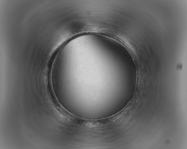 X0000091230346200708161721