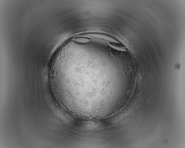 X0000091230347200708161721