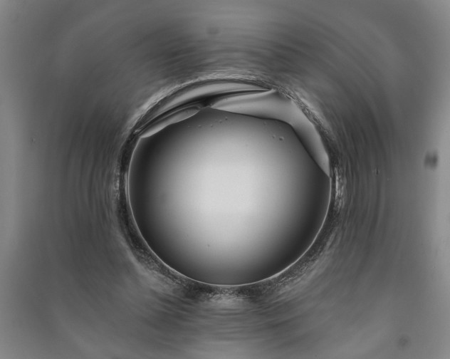 X0000091230348200708161721