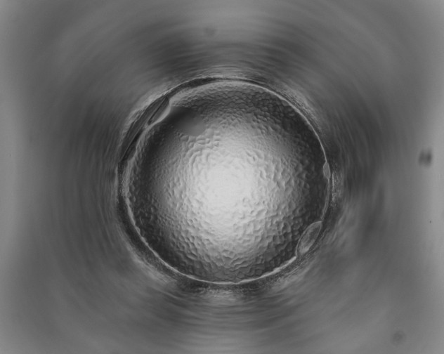 X0000091230349200708161721