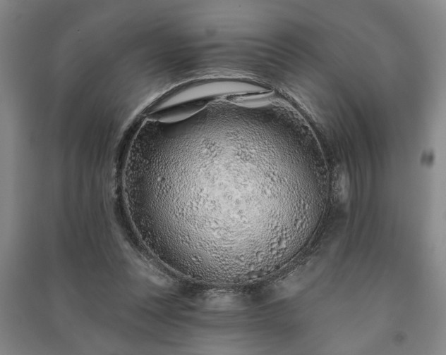 X0000091230351200708161721