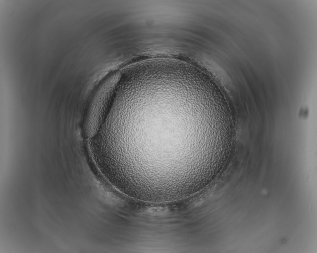 X0000091230353200708161721