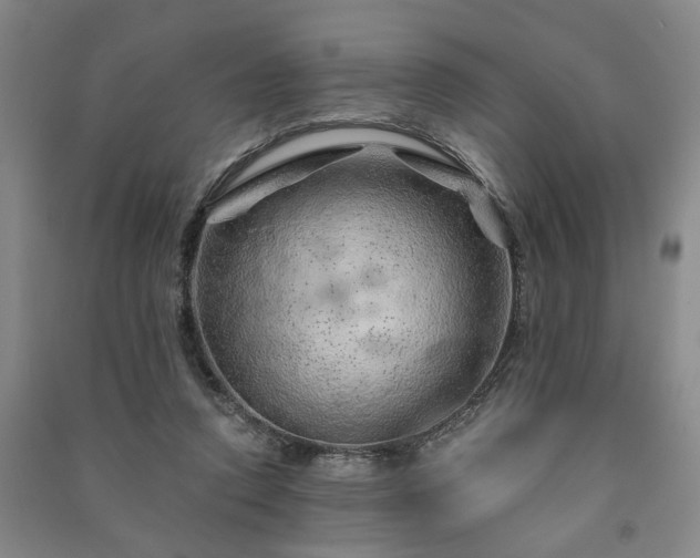 X0000091230354200708161721
