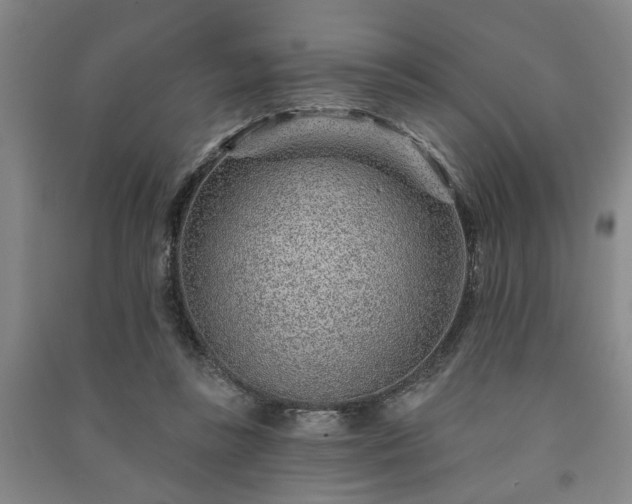 X0000091230355200708161721