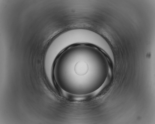 X0000091230356200708161721