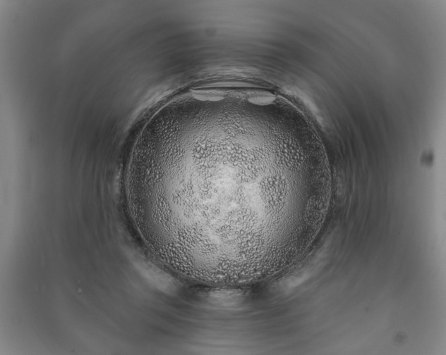X0000091230357200708161721