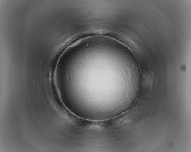 X0000091230358200708161721