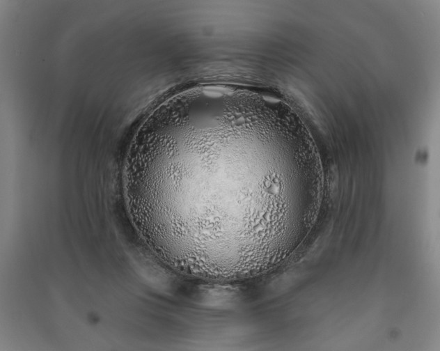 X0000091230359200708161721