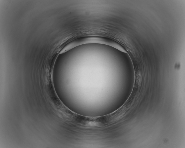 X0000091230360200708161721