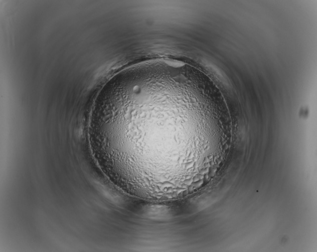 X0000091230361200708161721