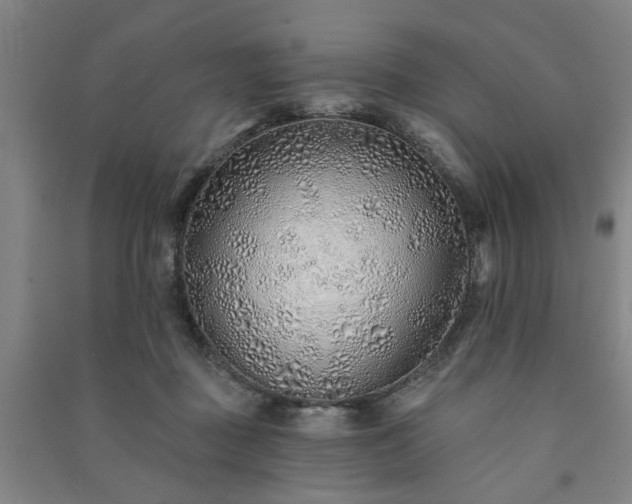 X0000091230363200708161721