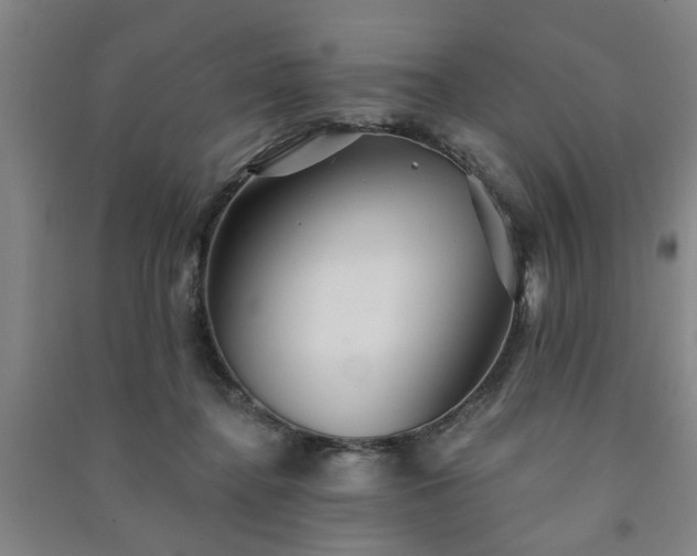 X0000091230364200708161721
