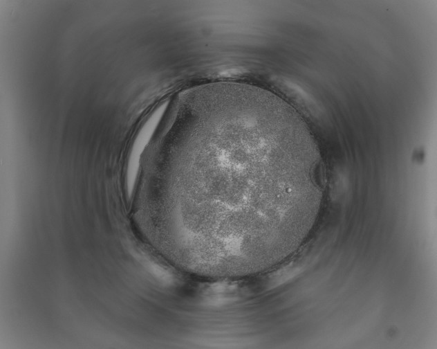 X0000091230366200708161721