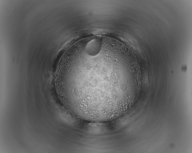X0000091230367200708161721