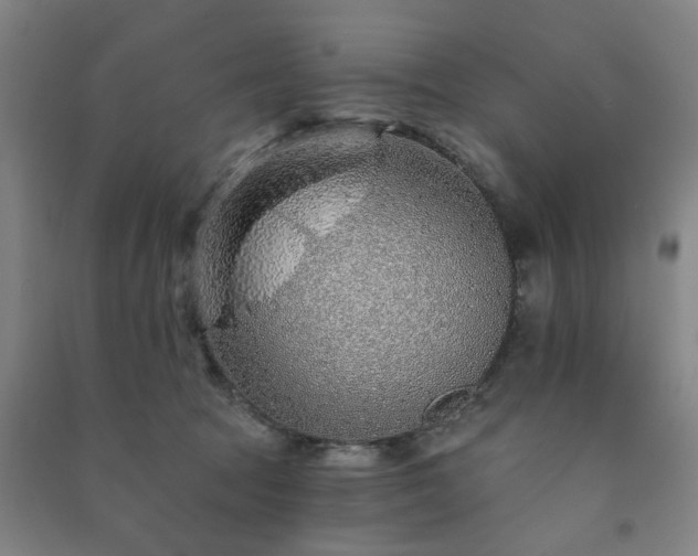 X0000091230369200708161721