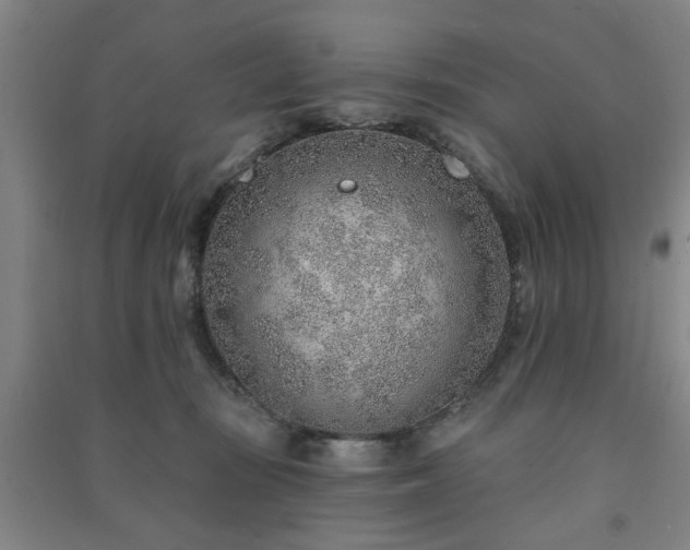 X0000091230371200708161721