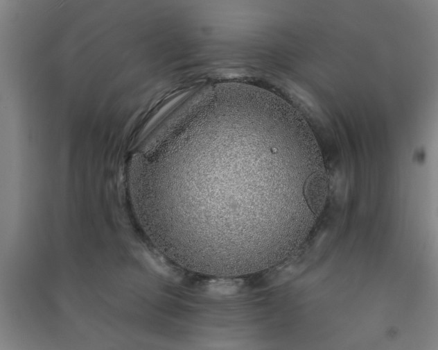 X0000091230373200708161721