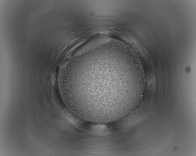 X0000091230374200708161721