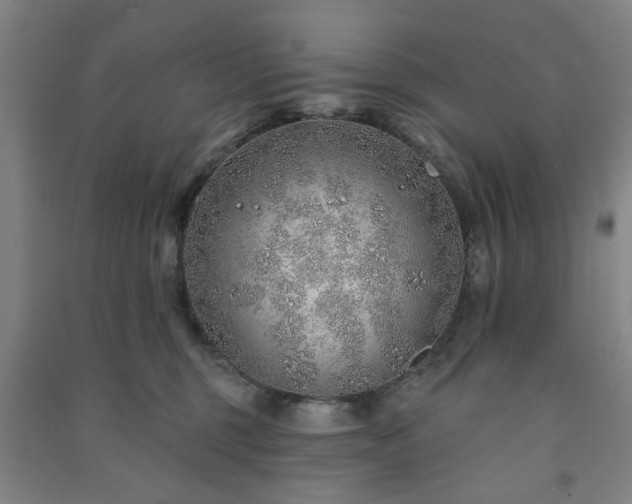 X0000091230375200708161721