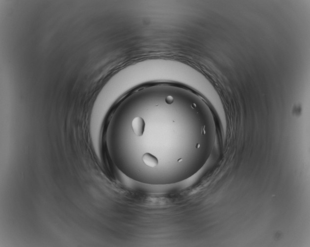 X0000091230376200708161721