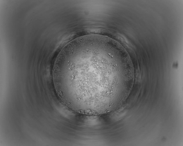 X0000091230377200708161721