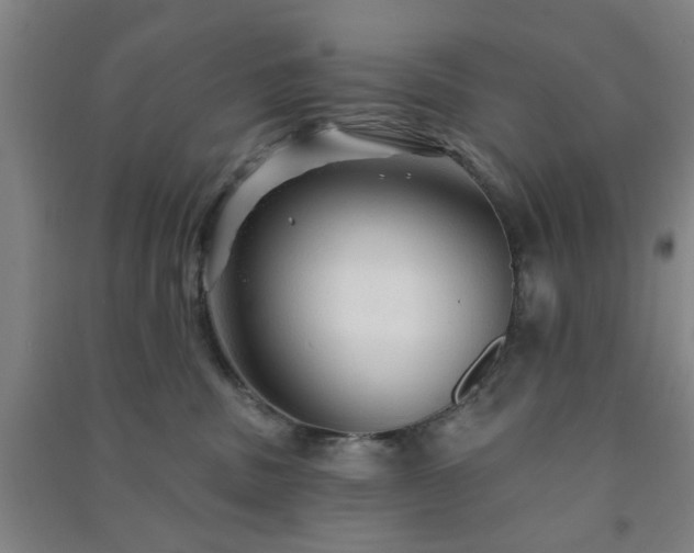 X0000091230379200708161721