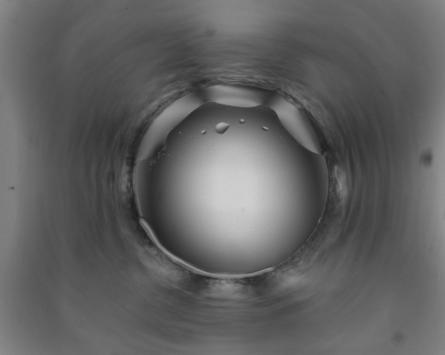 X0000091230380200708161721