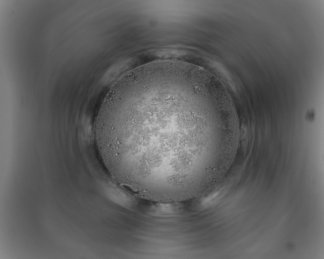 X0000091230381200708161721