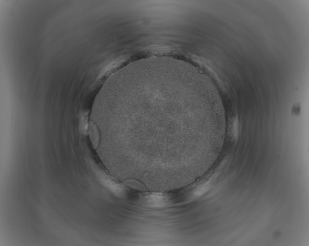 X0000091230383200708161721