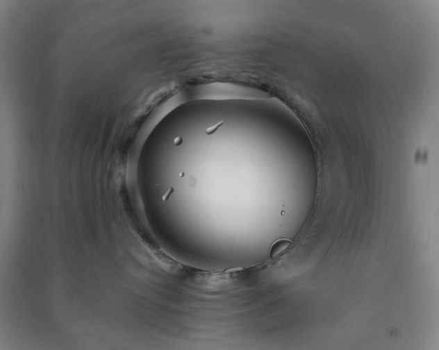 X0000091230384200708161721