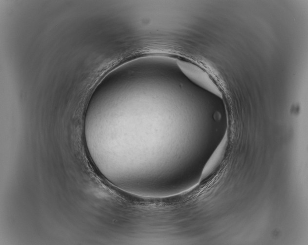 X0000091230385200708161721