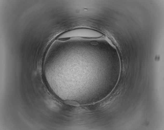 X0000091230386200708161720