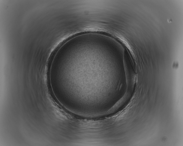 X0000091230387200708161720