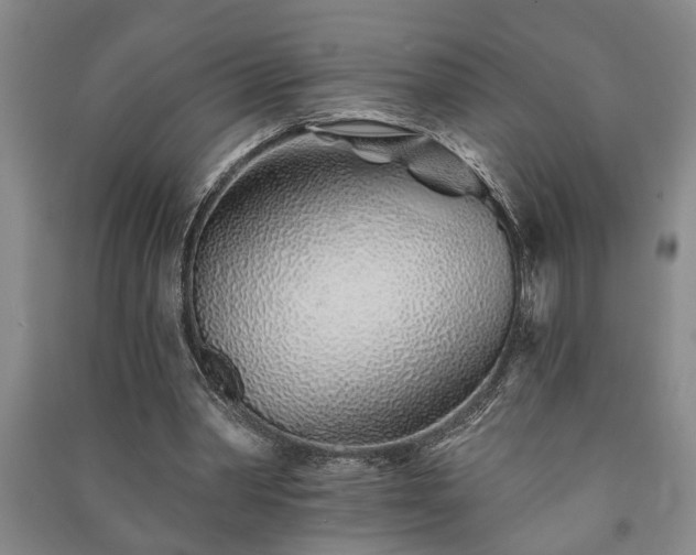 X0000091230390200708161720