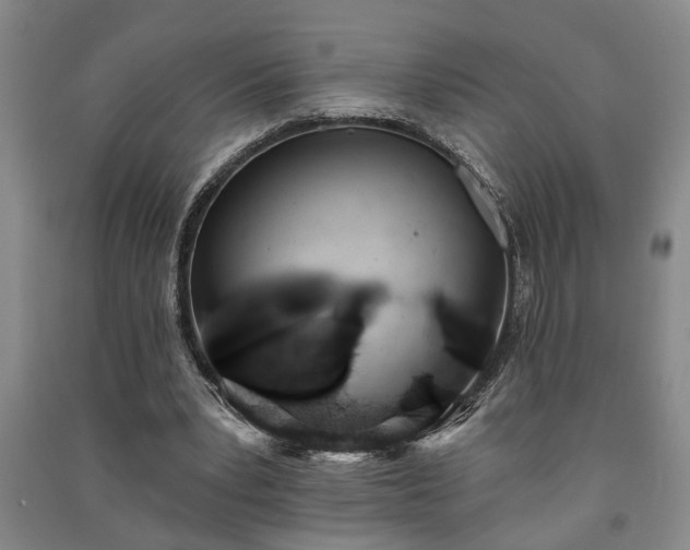 X0000091230391200708161720