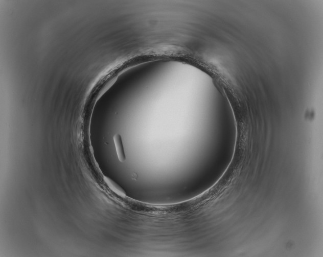 X0000091230392200708161720