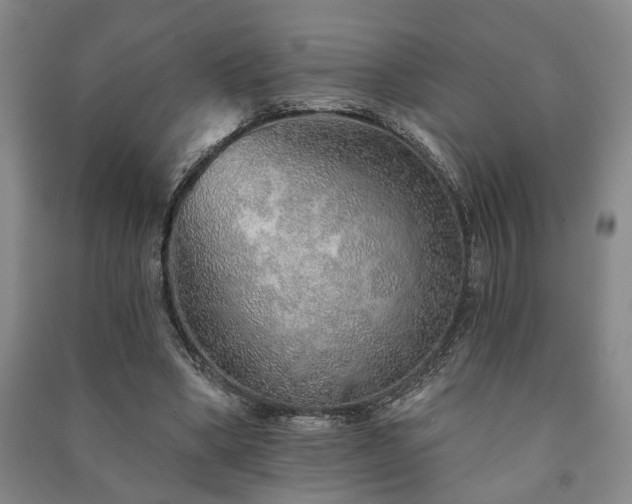 X0000091230394200708161720