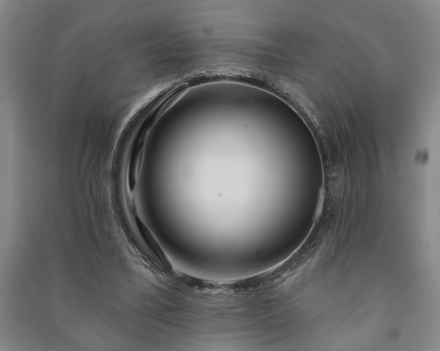 X0000091230395200708161720
